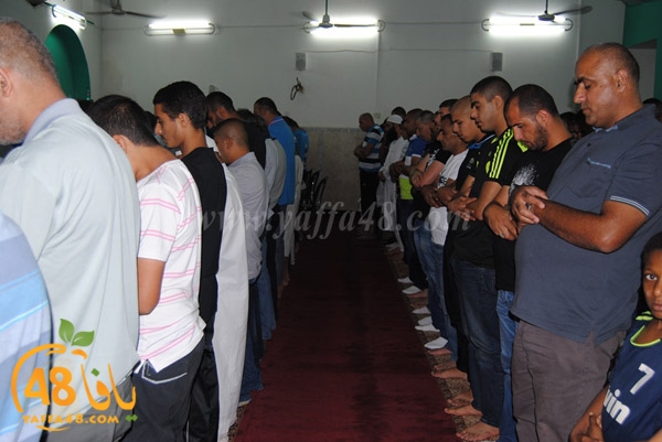 trawe7 zatona (21).JPG